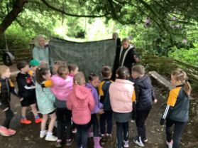 Primary Three visit a Forest School