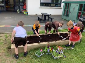 Green Fingers in P1